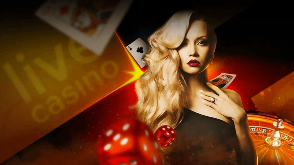 라이브카지노 단점