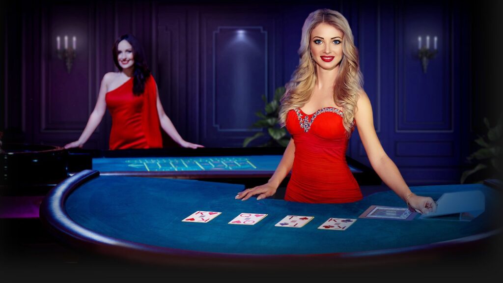 라이브카지노 플랫폼