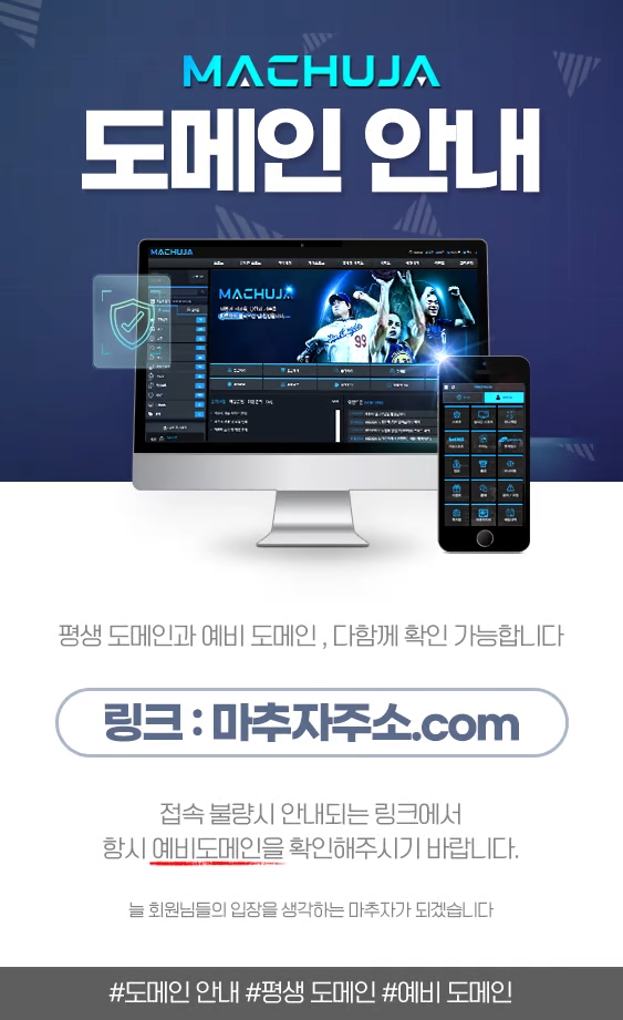 평생 도메인 안내