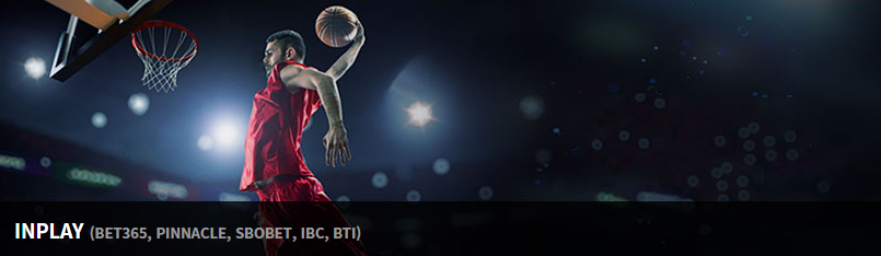 라이브 스포츠 베팅