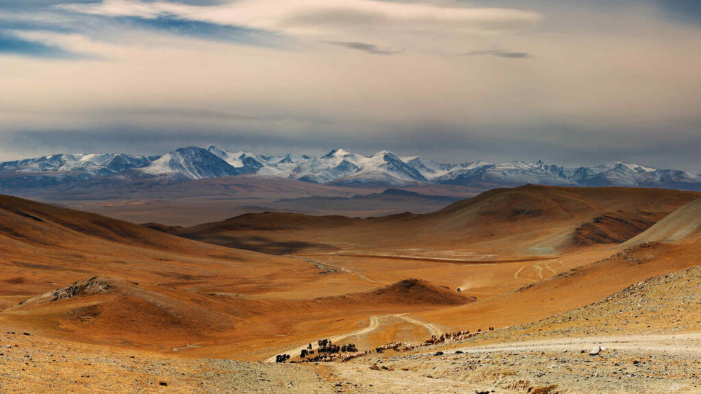 몽골 카지노 사업 계획 초안 공개