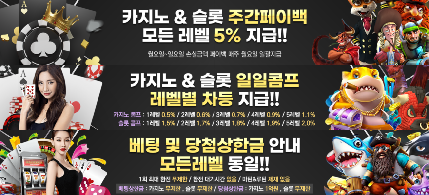 체스카지노 가입코드·이벤트·쿠폰·도메인·주소 안내