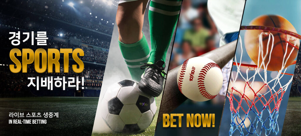 텐텐벳 회원 가입 방법 안내