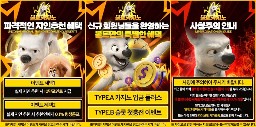 볼트카지노 쿠폰 이벤트 프로모션 안내