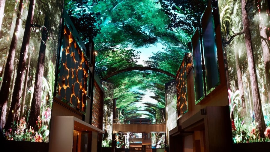 디지털 엔터테인먼트 거리 '오로라'