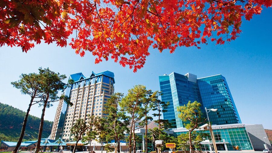 강원랜드, 아무도 예상치 못 한 3분기 어닝 서프라이즈