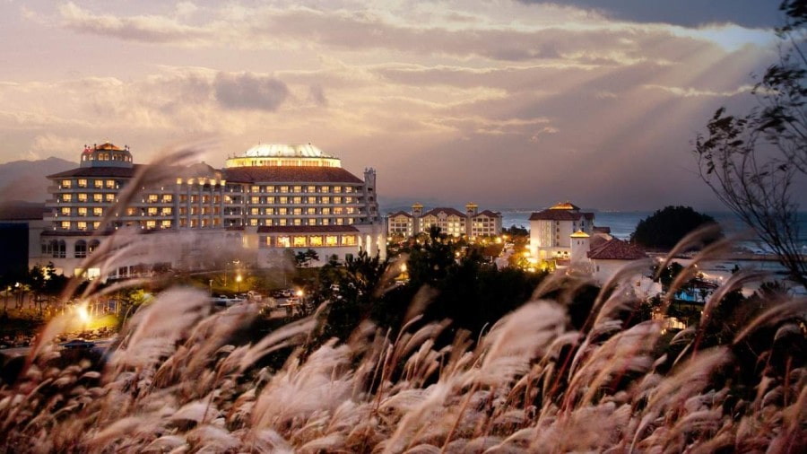 티웨이항공 경영권을 공개적으로 노리는 대명소노그룹