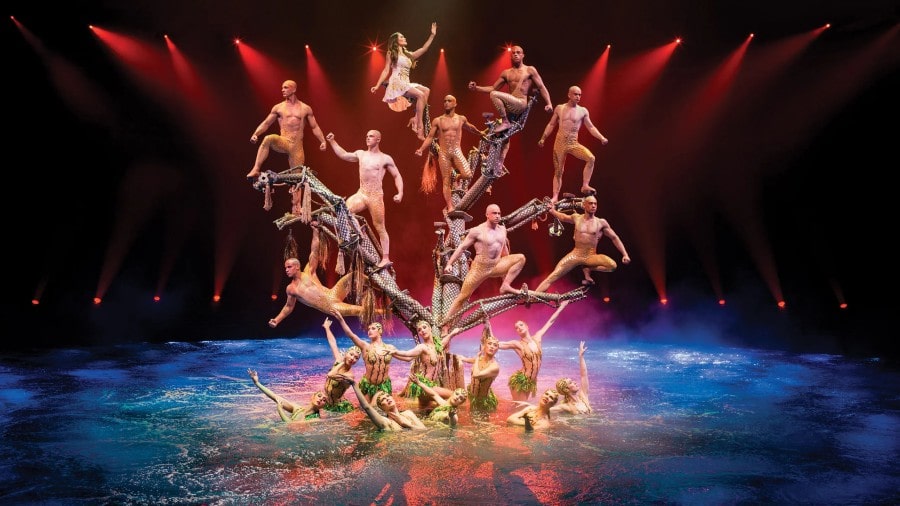 르 레브 쇼 (Le Reve Show)