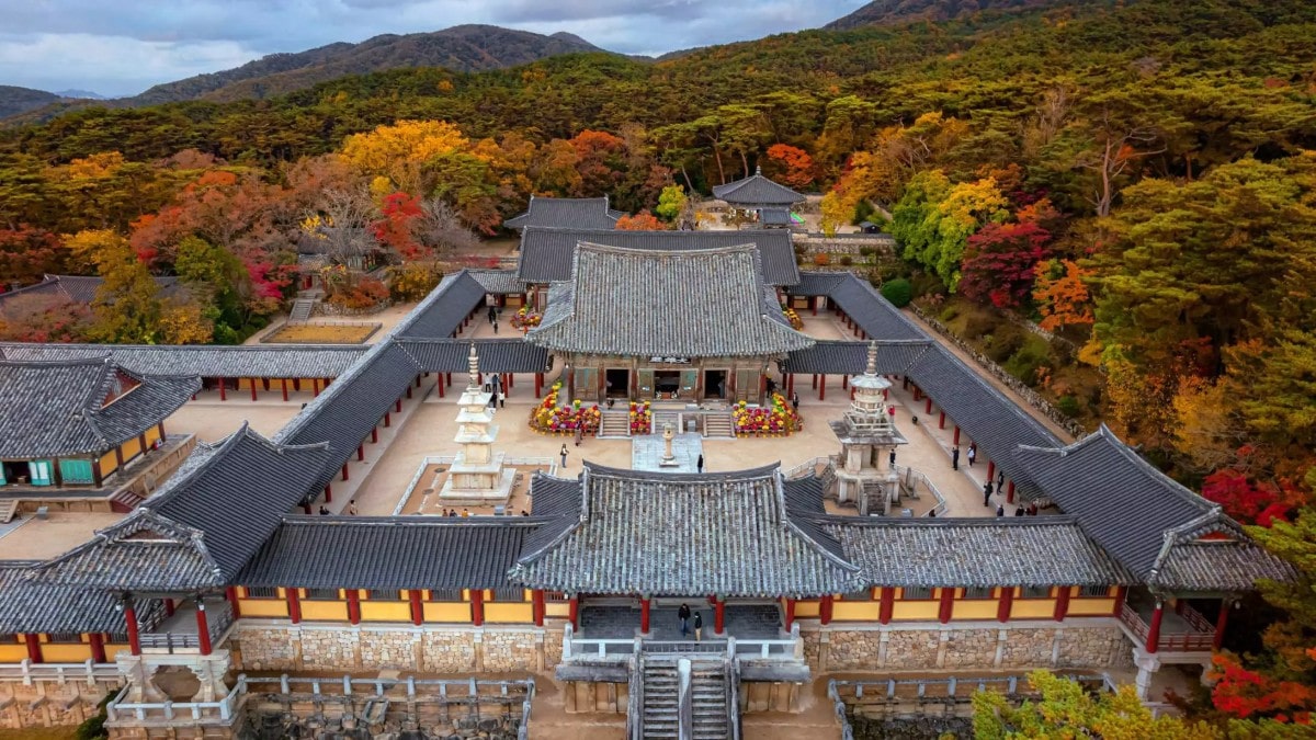 2026년 공식 출범 전남 특별자치도, 외국인 카지노 도입