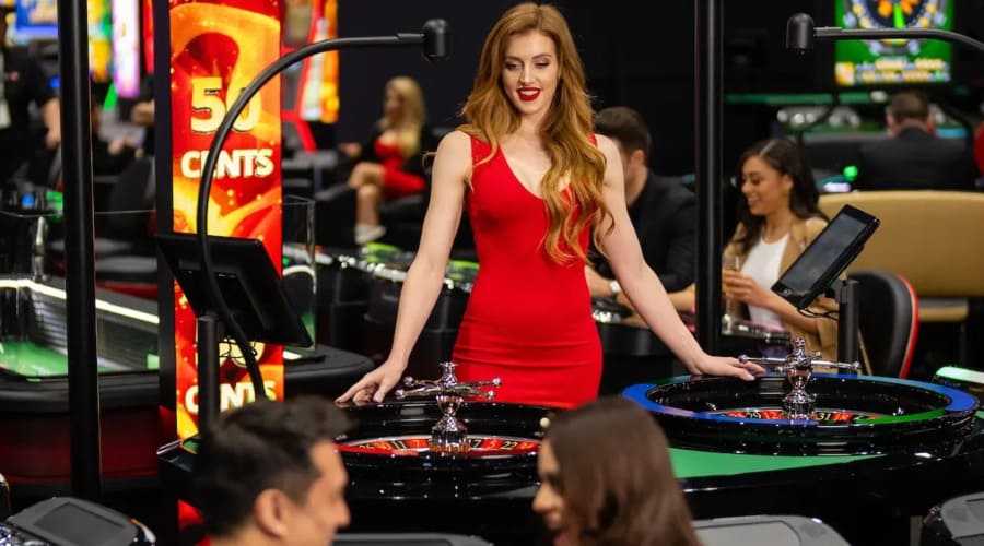 라이브카지노 룰렛