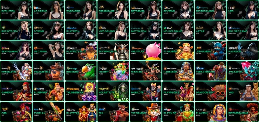 USDT카지노 제공 게임 안내