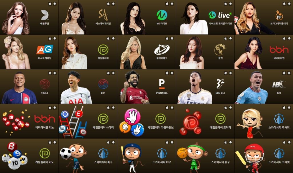 솔카지노 제공 게임 안내