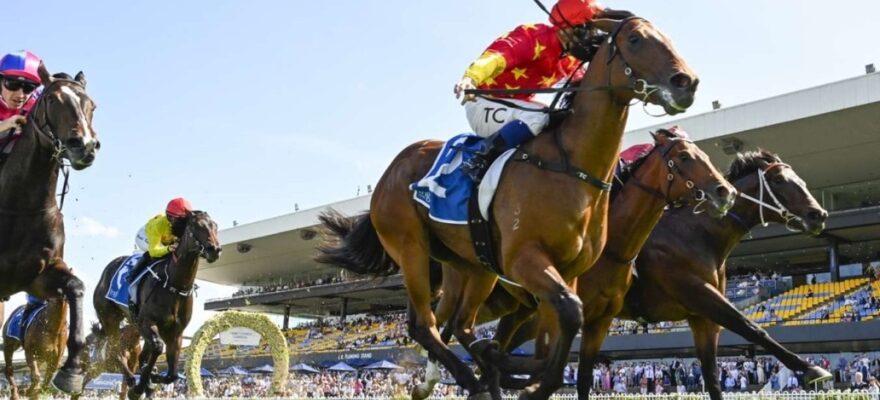 새로운 경마 리그 출범에 온라인카지노 들썩