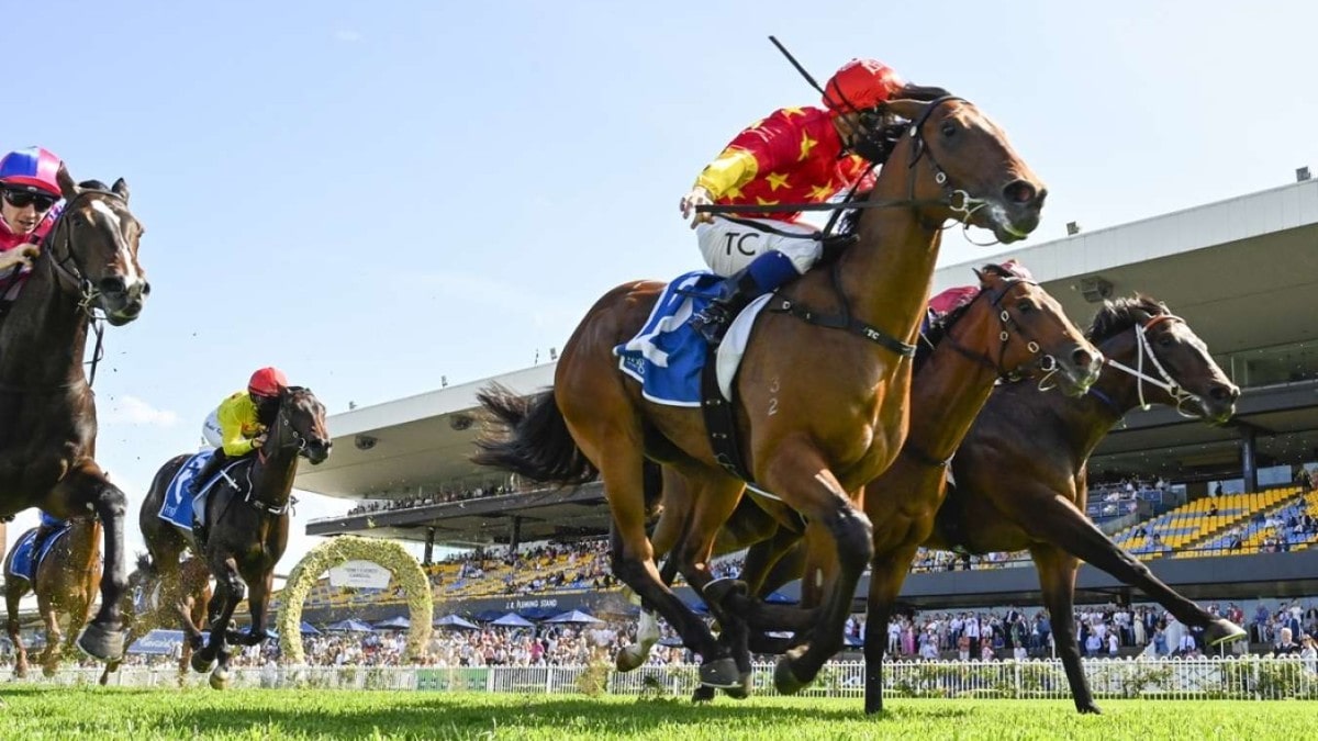 새로운 경마 리그 출범에 온라인카지노 들썩