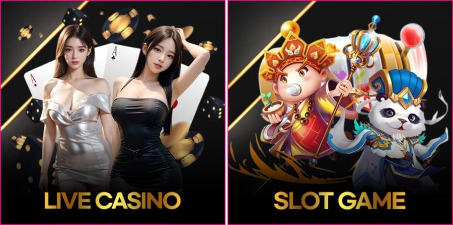 룸카지노 회원 등급 및 이용 규정 안내