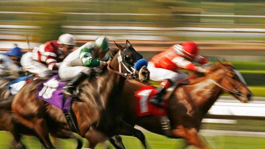 경마 분야에 첫 진출하기 위해 겪어야 했던 시행착오들