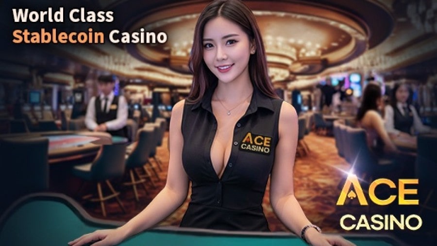 미투온, 암호화폐 USDC 결제 시스템 도입한 '에이스카지노' 출시