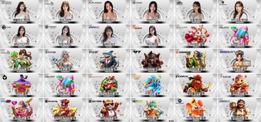 타이거카지노 제공 게임 안내