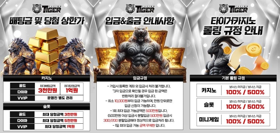 타이거카지노 이용 방법 안내