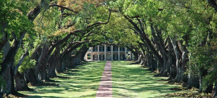 미국, 온라인 토토사이트 세율 인상 추진