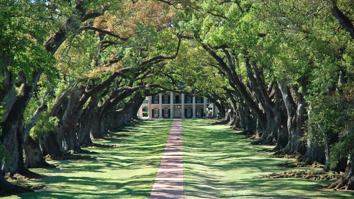 미국, 온라인 토토사이트 세율 인상 추진