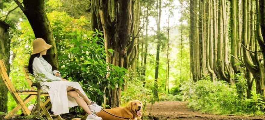 관광객 증가에 따른 제주 카지노 이용 행태 변화