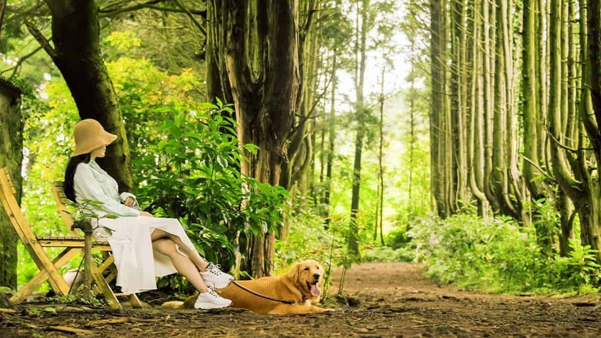 관광객 증가에 따른 제주 카지노 이용 행태 변화