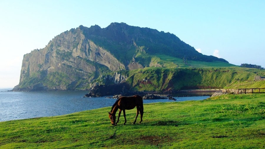 변화하는 제주도 관광 패턴, 젊은 층 개별 관광 중심으로