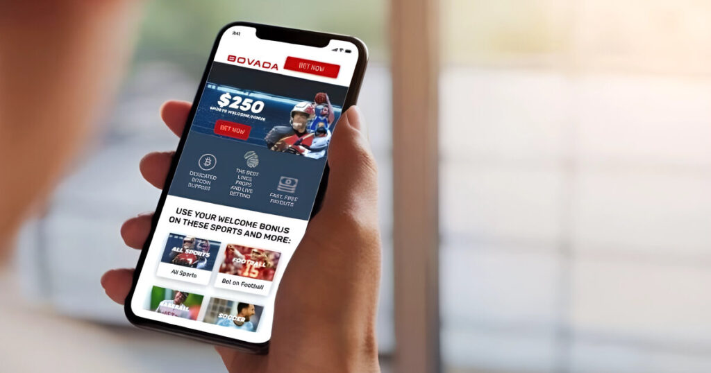 먹튀검증 추천 플랫폼의 실전 활용 전략