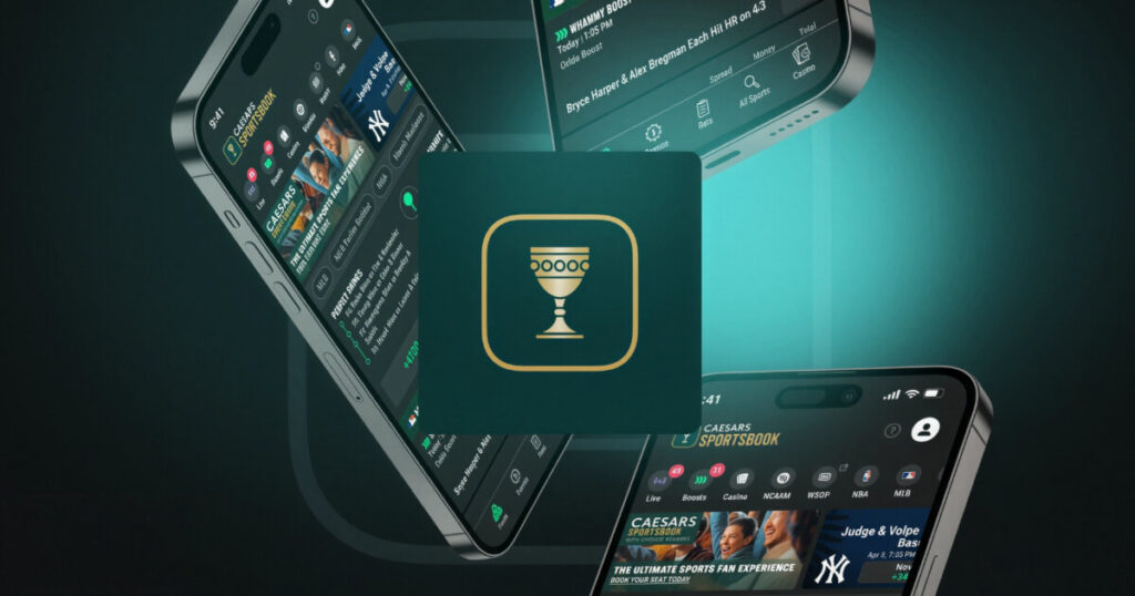 신규 베터가 점검해야 할 공식 사이트 선택 기준